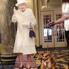 #IAMDOWNTOWN with our new friend Ancho and HRM the Queen of England at the Oakroom at the Fairmont Palliser Hotel. 
#yyc