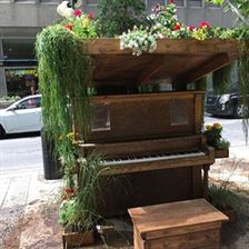 Our Woodlands piano is back for the summer and already attracting attention! Check it out on 3rd Street and 6th Avenue SW. #iamdowntown