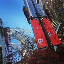 Autumn on the Avenue! New banners are up.