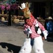 A Downtown Guide to Calgary Stampede 2011