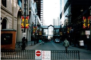 01-StevenAveFlags