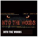 into-the-woods