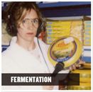 ferment