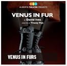 venus-in-furs