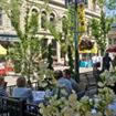 Downtown Calgary Patio & Vendor Season 2015