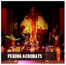 peking-acrobats