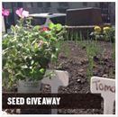seed-giveaway